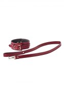 BLAZE ELITE COLLAR AND LEASH RED