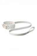 BLAZE ELITE COLLAR AND LEASH WHITE