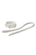 BLAZE ELITE COLLAR AND LEASH WHITE