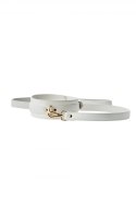 BLAZE ELITE COLLAR AND LEASH WHITE