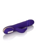 Thrusting Rabbit Signature Purple