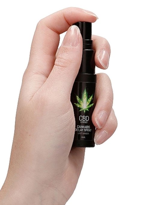 CBD Cannabis Delay Spray - 15 ml CBD Cannabis Delay Spray - 15 ml