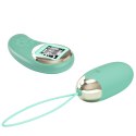 PRETTY LOVE - Mina-10 vibration functions 9 speed levels Wireless remote control