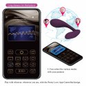 PRETTY LOVE - Baird Purple, 12 vibration functions Mobile APP Long-distance Control