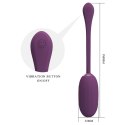 PRETTY LOVE - Doreen, 12 vibration functions 3 electric shock functions Mobile APP Long-distance Control