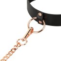 Rosy Gold - Collar with Leash - Black