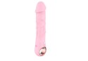 Wibrator - Rechargeable Vibrator USB 10 Functions