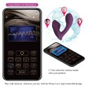 FRANZ, 10 vibration functions Mobile APP remote control FRANZ, 10 vibration functions Mobile APP remote control