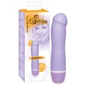 Mini Silicone Vibe Penis Mini Silicone Vibe Penis