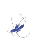 Xocoon Triple Love Vibrator Xocoon Triple Love Vibrator