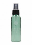 Cannabis Massage Oil - 100ml Cannabis Massage Oil - 100ml