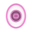 Teazers Suction Cup with Clitoris Vibrator Teazers Suction Cup with Clitoris Vibrator