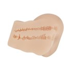 CRAZY BULL - Hailey, Vibration Double holes TPR ABS CRAZY BULL - Hailey, Vibration Double holes TPR ABS
