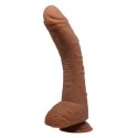 BAILE - ALEX, Suction base BAILE - ALEX, Suction base