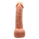BAILE- BARBARA Ken 7,8'' BAILE- BARBARA Ken 7,8''