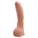 BAILE- Beatiful JACK 10,2'' BAILE- Beatiful JACK 10,2''