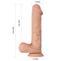 BAILE-Beautiful Bergrisi 10.2"""" BAILE-Beautiful Bergrisi 10.2""""
