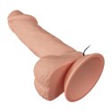 BAILE-Beautiful Zebulon Vibration 7.6"""" BAILE-Beautiful Zebulon Vibration 7.6""""