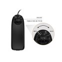BAILE-Beautiful Zebulon Vibration 7.6"""" BAILE-Beautiful Zebulon Vibration 7.6""""