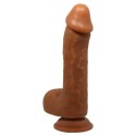 BAILE - JOHNSON, Suction base BAILE - JOHNSON, Suction base
