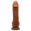 BAILE - JOHNSON, Suction base BAILE - JOHNSON, Suction base
