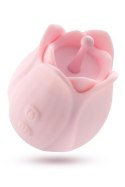 PLAY WITH ME ROMANTIC ROSE PINK PLAY WITH ME ROMANTIC ROSE PINK