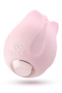 PLAY WITH ME ROMANTIC ROSE PINK PLAY WITH ME ROMANTIC ROSE PINK