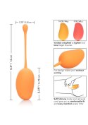 Kulki-Kegel Training Set Mango