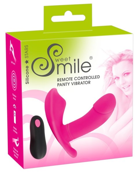 RC Panty Vibrator