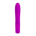 PRETTY LOVE - ELMER, PURPLE, USB, 12 function