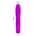 PRETTY LOVE - ELMER, PURPLE, USB, 12 function