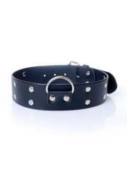 Fetish Boss Series Collar with studs 4 cm