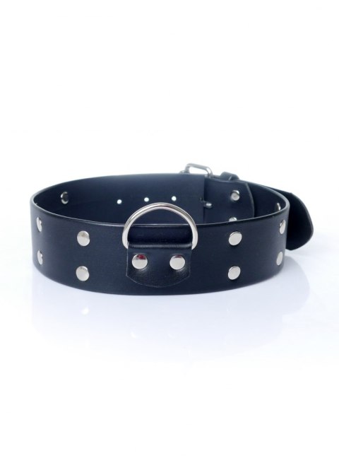 Fetish Boss Series Collar with studs 4 cm