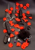 Zestaw-AMAZING PLEASURE SEX TOY KIT