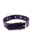 Fetish Boss Series Collar with studs 3 cm Red Line