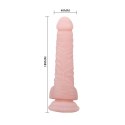 BAILE - SUPER DILDO 7,4"