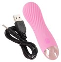 Cuties 2.0 Mini Vibrator Rose