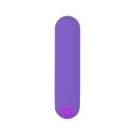 Power Bullet USB 10 functions Glossy Matte Purple