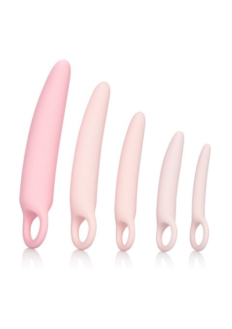 Dildo-INSPIRE SILICONE DILATOR 5 PCS SET Dildo-INSPIRE SILICONE DILATOR 5 PCS SET
