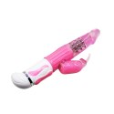 BAILE- Fasination Vibrator Pink,12 vibration functions 4 rotation functions