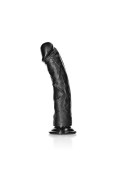 Curved Realistic Dildo with Suction Cup - 10""/ 25,5 cm